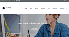 Desktop Screenshot of bloomer.co.za